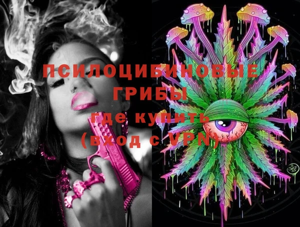 прущая мука Няндома