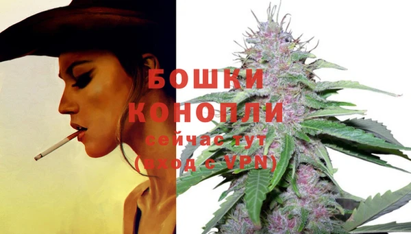 прущая мука Няндома