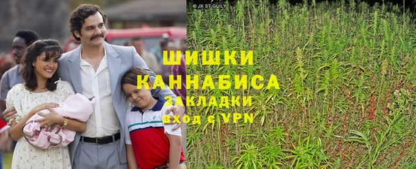 мет Нягань