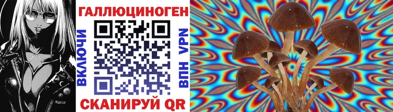 Галлюциногенные грибы Magic Shrooms  Купить где  Макарьев 